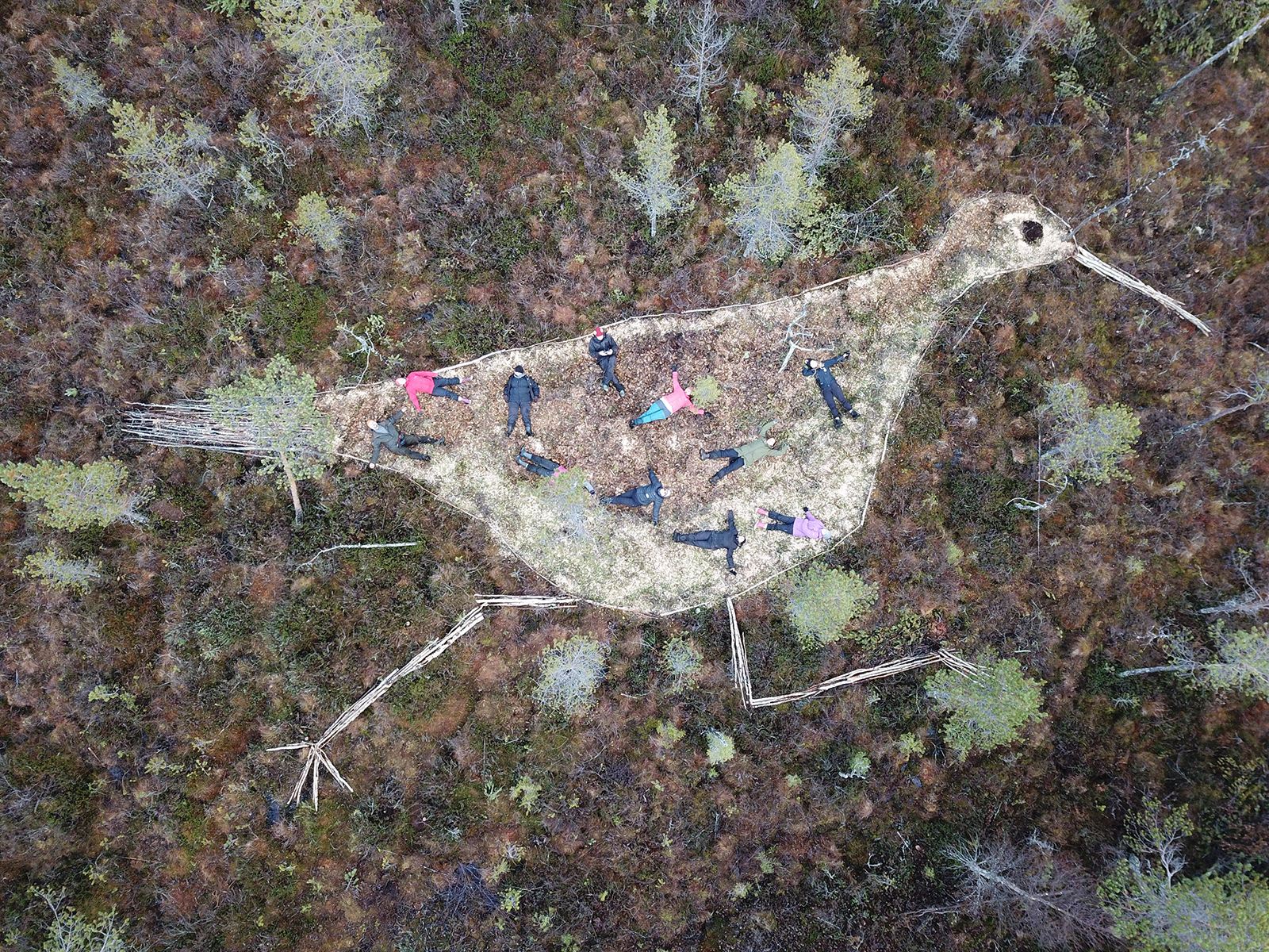 Metsäkohtaamisia