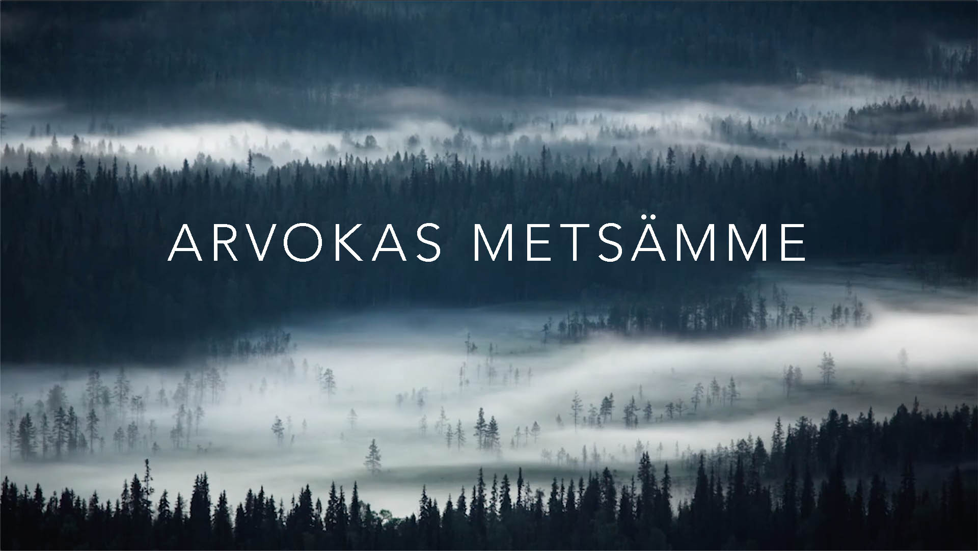 Arvokas metsamme