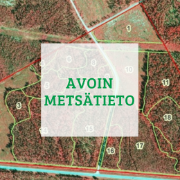 Avoin metsaetieto