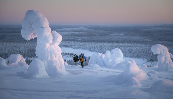 Kaksi retkeilijää talvisessa tunturissa Kaksi retkeilijää talvisessa tunturissa ja tykkylumisia puita