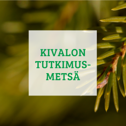 Kivalon tutkimusmetsae3