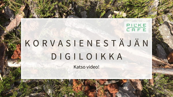 Korvasienestaejaen digiloikka FB 4