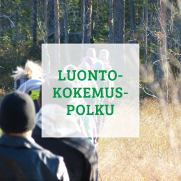 Luontokokemuspolku