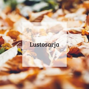 Kuva lustosarja