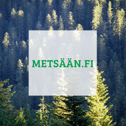 Metsaeaen2.fi