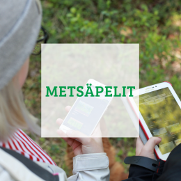 Metsaepelit