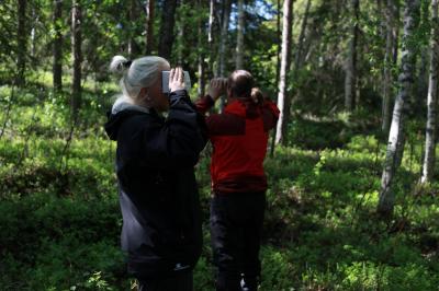 Lapsia metsässä pelaamassa metsäpeliä