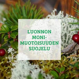 Metsaeverkosto teema luonnon monimuotoisuus2