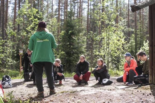 metsaevisa VilmaIssakainen 2