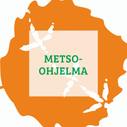 Metso ohjelma