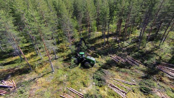 Metsäkone avohakkuulla ilmasta kuvattuna