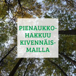 Pienaukkohakkuu kivennaeismailla3