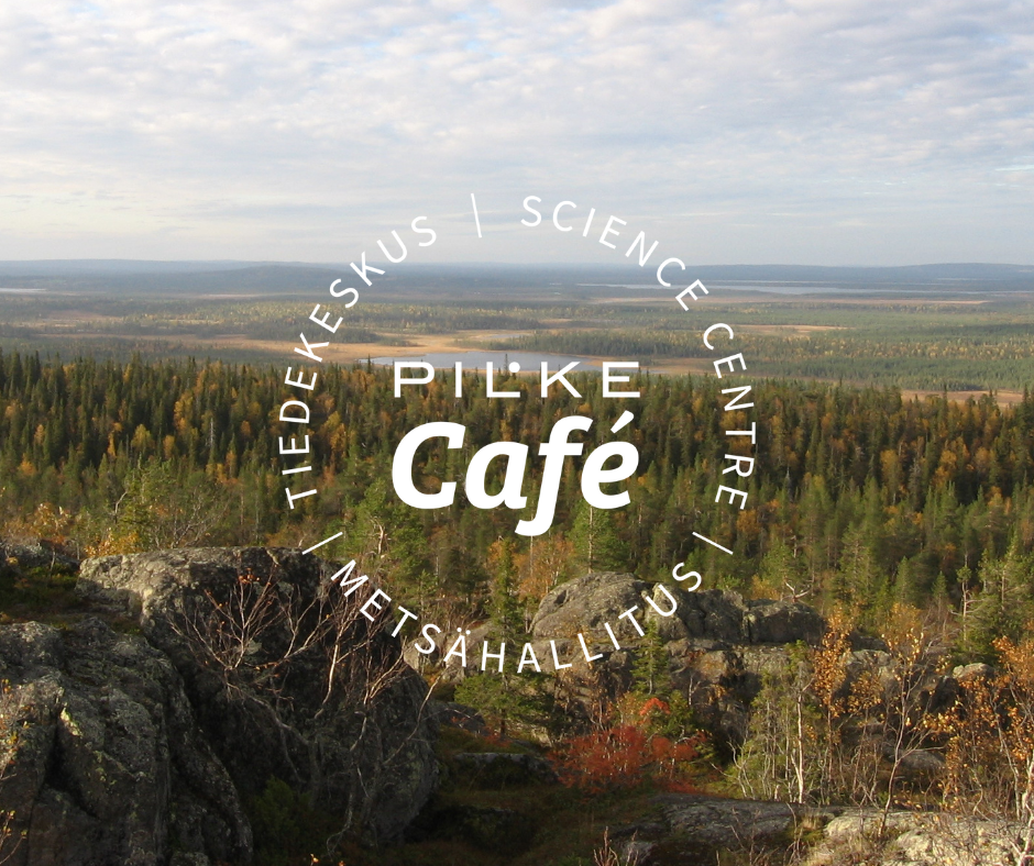 Pilke Cafe Metsästäjätutkinto 2023