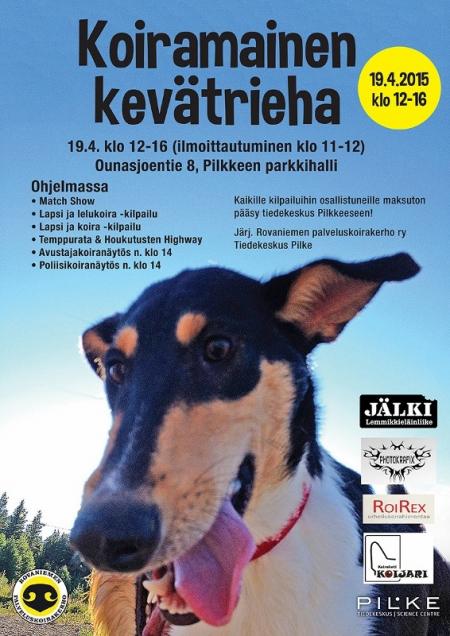 Palveluskoirakerhon kevatrieha mainos