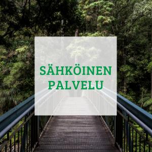 saehkoeinen palvelu