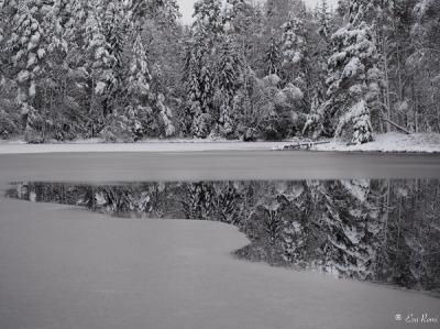 talvisen järvimaiseman keskellä sula peilaa maiseman, kuva Eva Romi
