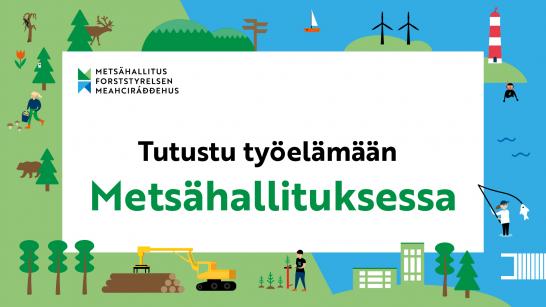 Tutustu työelämään Metsähallituksessa. Piirroskuvia mereltä ja metsästä.