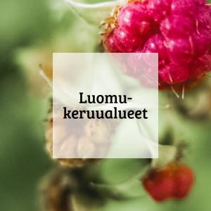 Kuvalinkki luomukeruualueiden sertiointi valtion monikäyttömetsissä esittelyyn