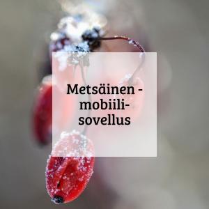 Kuvalinkki Metsäinen -mobiilisovelluksen esittelyyn