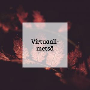 Kuvalinkki virtuaalimetsä-metsävaratietojärjestelmän esittelyyn