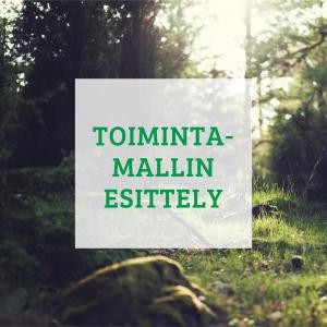 toimintamallin esittely