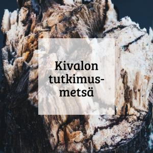 Kuvalinkki Kivalon tutkimusmetsän esittelyyn