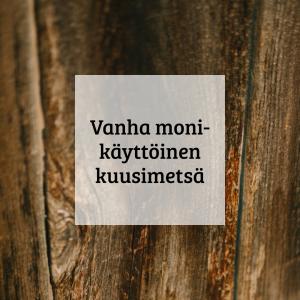 Kuvalinkki vanha monikäyttöinen kuusimetsä esitelysivulle