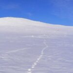 Talvinen tunturiluonto ja ahman jäljet.