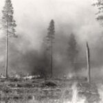 Osaran aukeiden kulotus. Kuva: Osaran aukeat -dokumenttielokuva. DocWerstas.